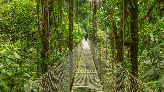 Hanging bridge in Costa Rica (PHOTO: Photo via DmitriyBurlakov / iStock / Getty Images Plus)