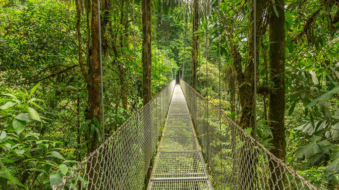 Hanging bridge in Costa Rica Hanging bridge in Costa Rica (PHOTO: Photo via DmitriyBurlakov / iStock / Getty Images Plus)