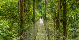 Hanging bridge in Costa Rica (PHOTO: Photo via DmitriyBurlakov / iStock / Getty Images Plus)