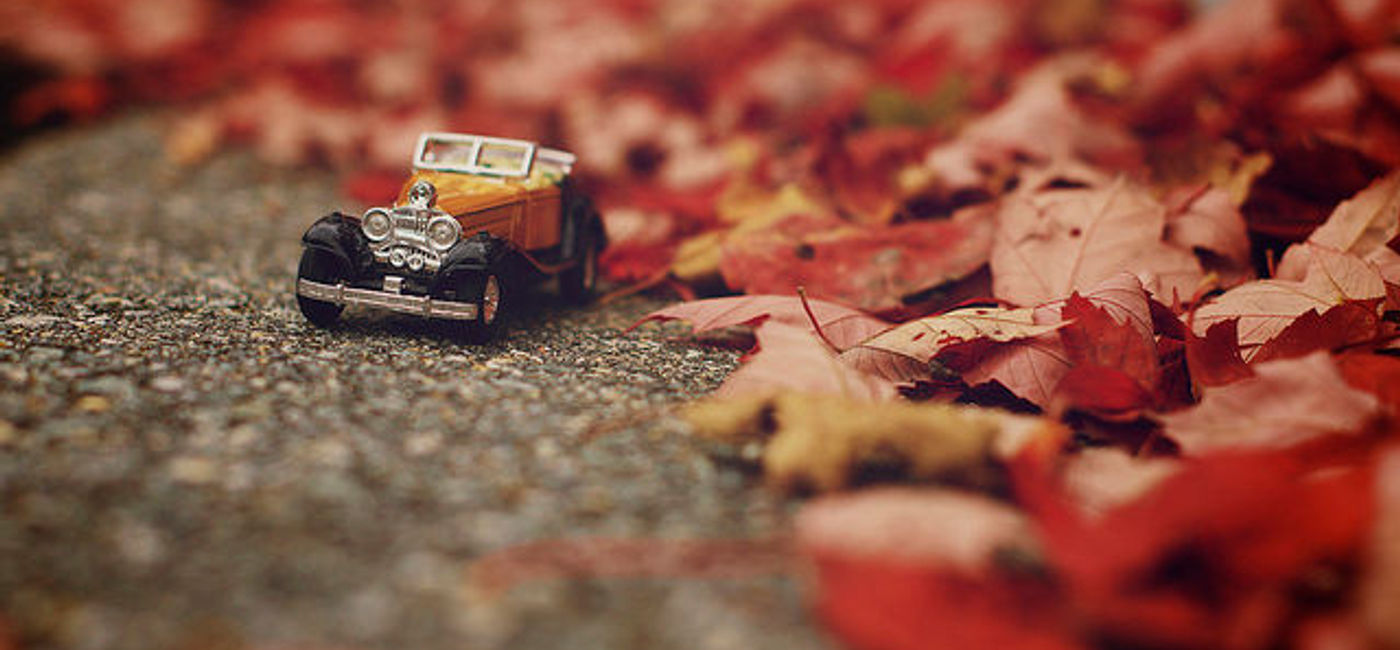Image: PHOTO: Small car on road with autumn leaves. (photo via Flickr/Steven Guzzardi)