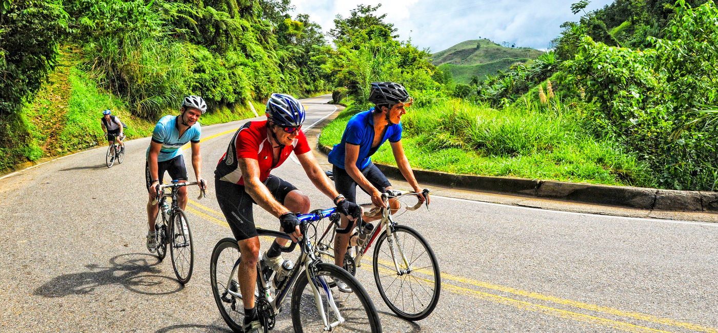 bicycle tour companies