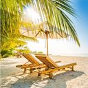 Just wanna have sun