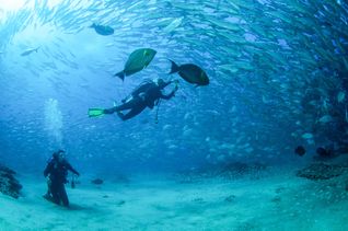 Los Cabos Tourism Board