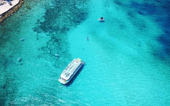 Nassau Paradise Island conservation
