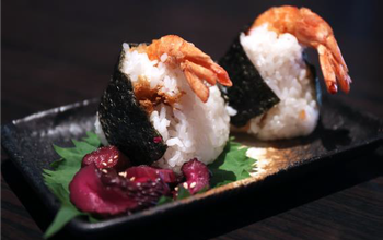 Tenmusu Tempura Shrimp Rice Wrap