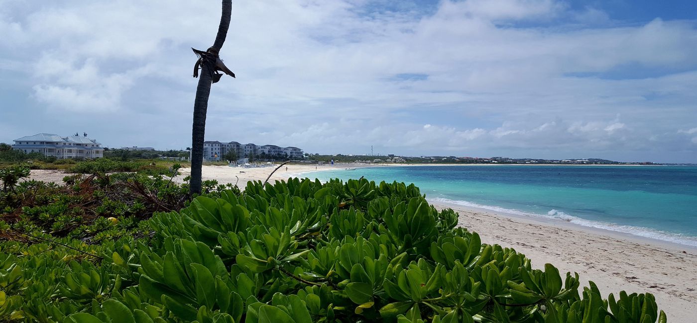 Image: Alexandra Resort beach in the Turks and Caicos (photo by Brian Major)