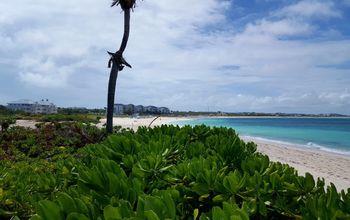 Alexandra Resort beach in the Turks and Caicos