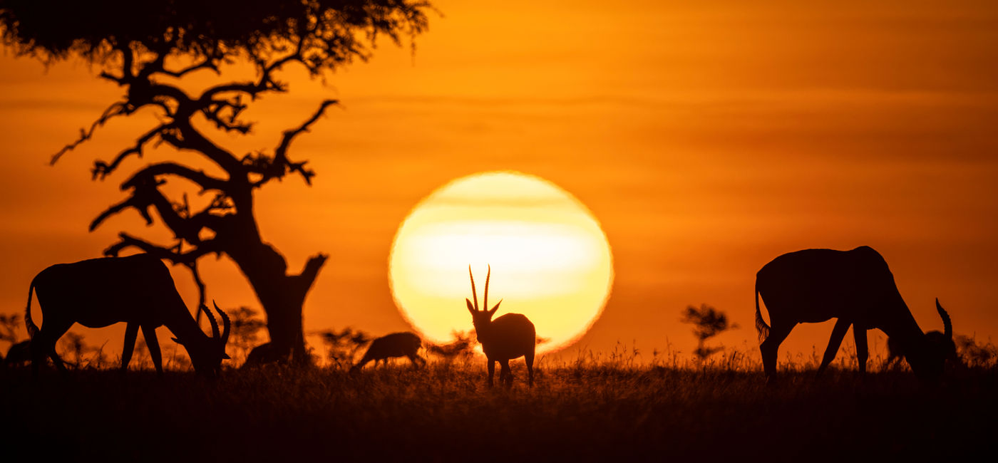 Image: Sunset in Kenya. (photo courtesy of Ken Geiger)