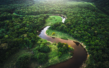 Atlantic Forest, Brazil, river