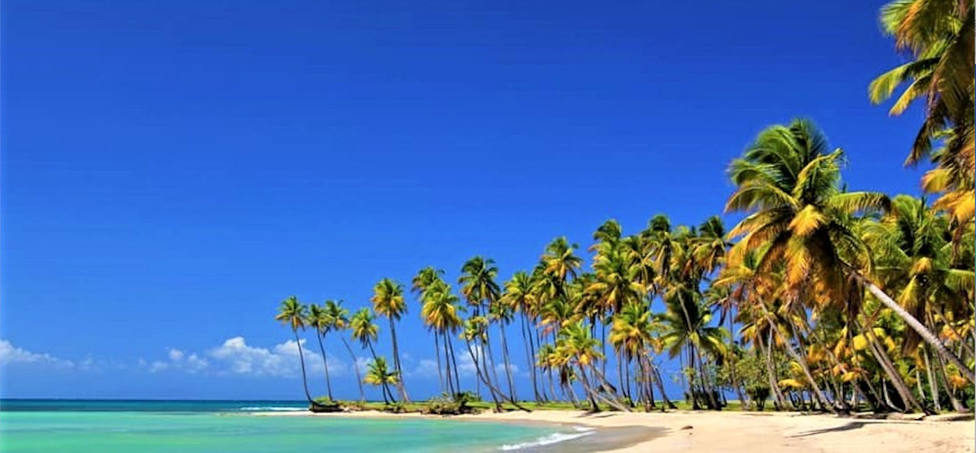 Image: Beach at Cap Cana, Dominican Republic (Photo via Noreen Kompanik)