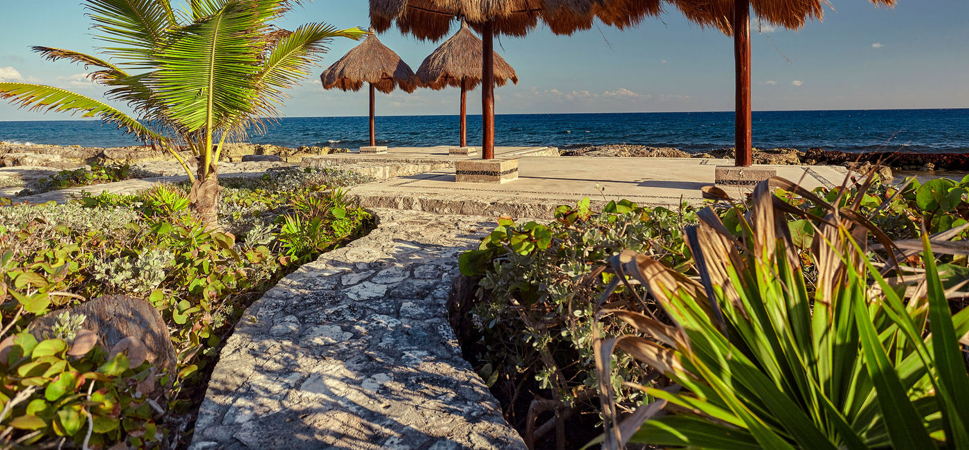 Image: PHOTO: Puerto Aventuras, Quintana Roo, Mexico. (photo via Cavan Images / iStock / Getty Images Plus)