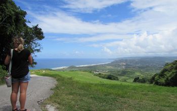 Cherry Tree Hill Barbados