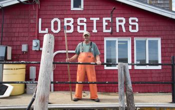 Lobster Trail 