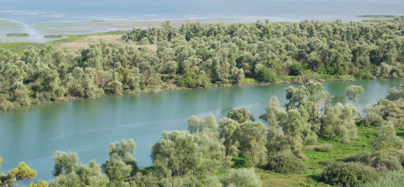 Image: PHOTO: Montenegro's Lake Skadar is in jeopardy, according to some conservationists. (Photo via Flickr/Aleksandr Zykov)