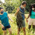 Gardening in Hawaii, Malama Hawaii, Responsible travel, eco-friendly travel, Hawaii travel