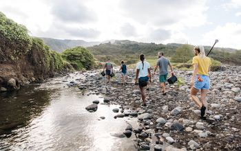 Volunteering in Hawaii