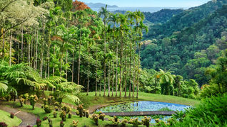Balata Garden © CMT