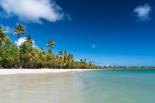 Salines Beach_Martinique © A.Petton