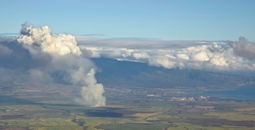 Fire in a sugar cane field, Maui