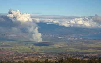 Fire in a sugar cane field, Maui