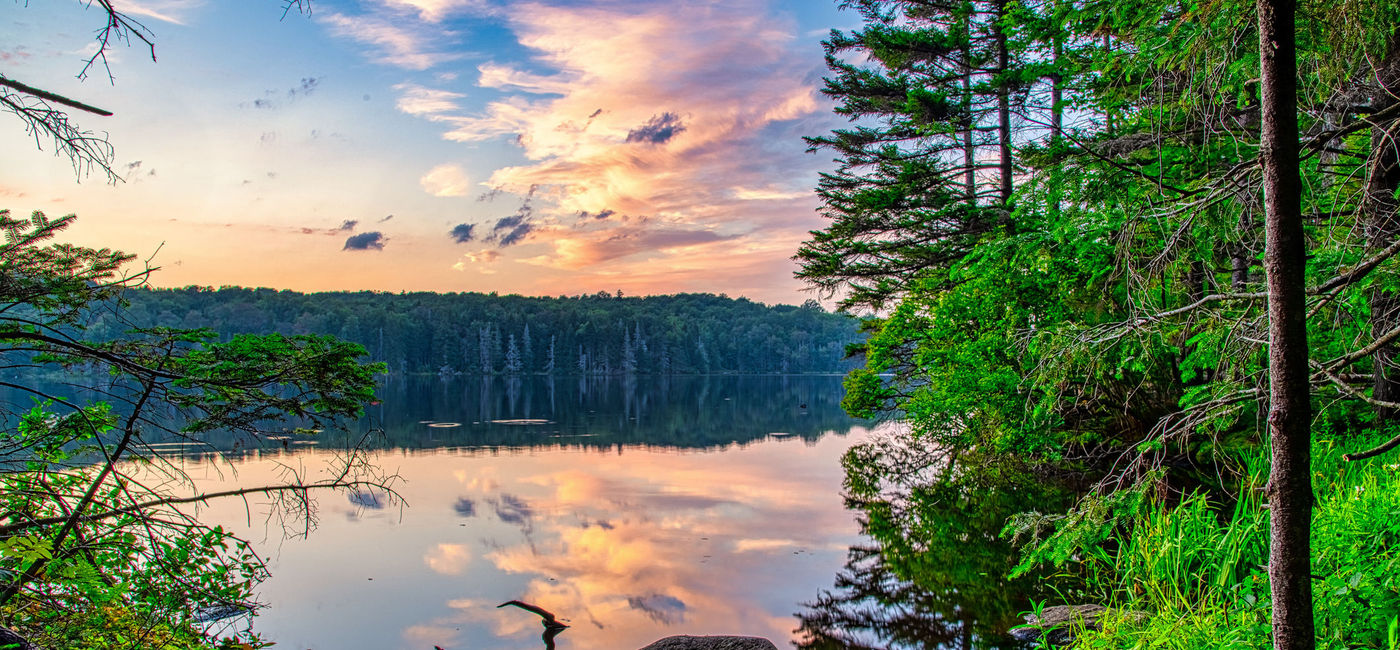 The Most Environmentally Friendly States to Celebrate Earth Day