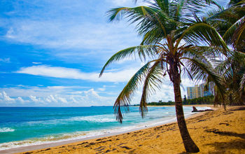 A Puerto Rico beach paradise