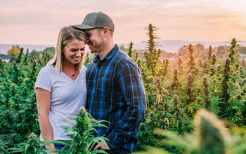 couple, cannabis, field, farm, hemp, marijuana, CBD oil