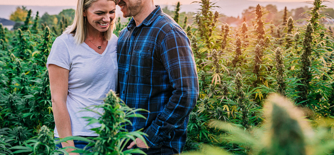 Image: Couple standing in a field of cannabis plants in Colorado. (photo via iStock/Getty E+/Jeremy Poland)