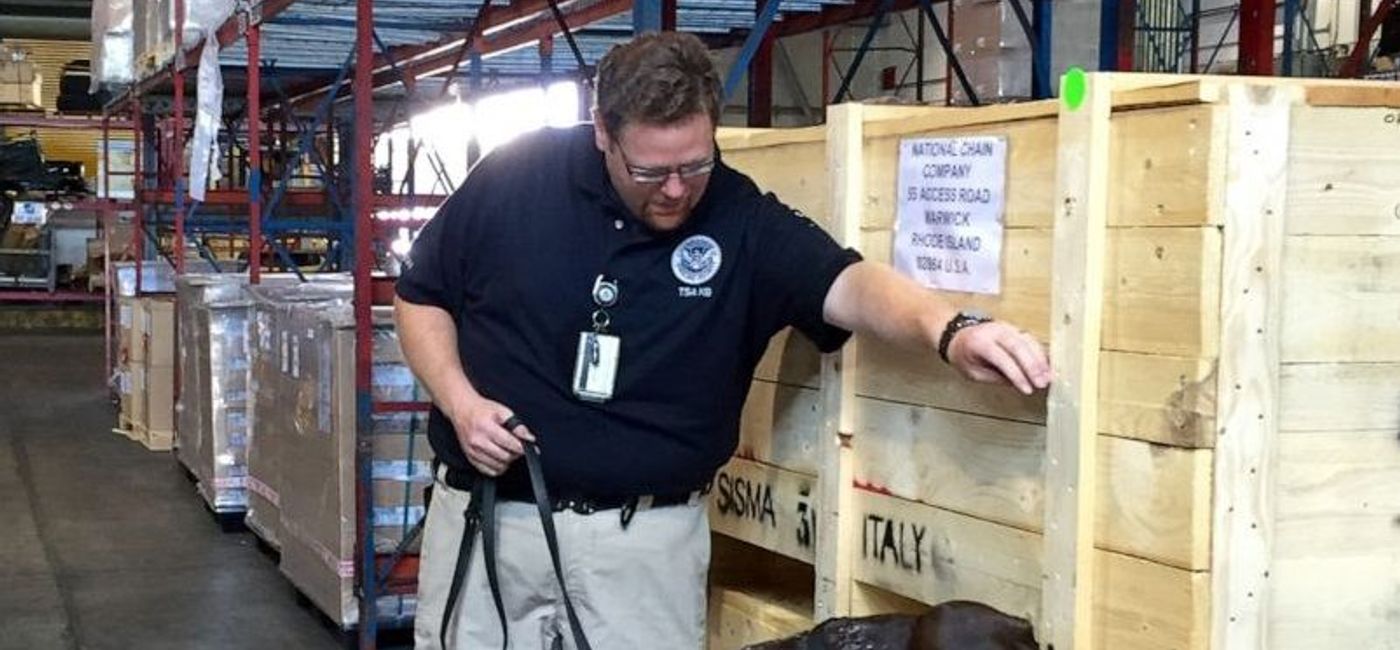 Image: PHOTO: Francis “Frank” Boccabella III. (photo via Transportation Security Administration Media)