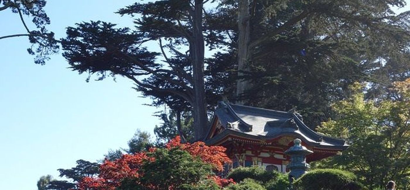 Image: PHOTO: Japanese Tea Garden. (photo via Flickr/pousseurdecailloux)