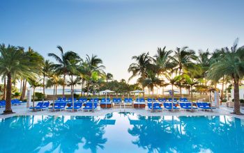 A stunning pool in Miami