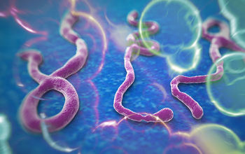 Ebola virus