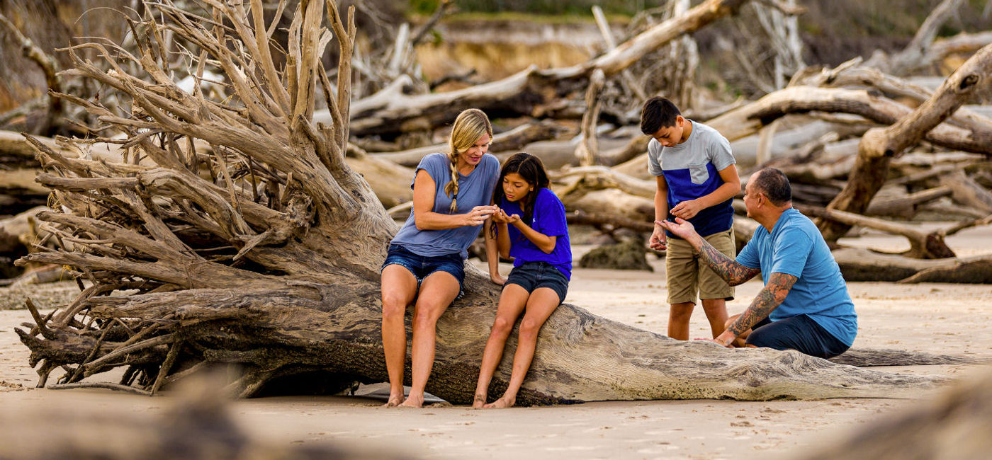 Image: Family exploring Boneyard Beach in Jacksonville, Florida (photo via Visit Jacksonville) ((photo via Visit Jacksonville))