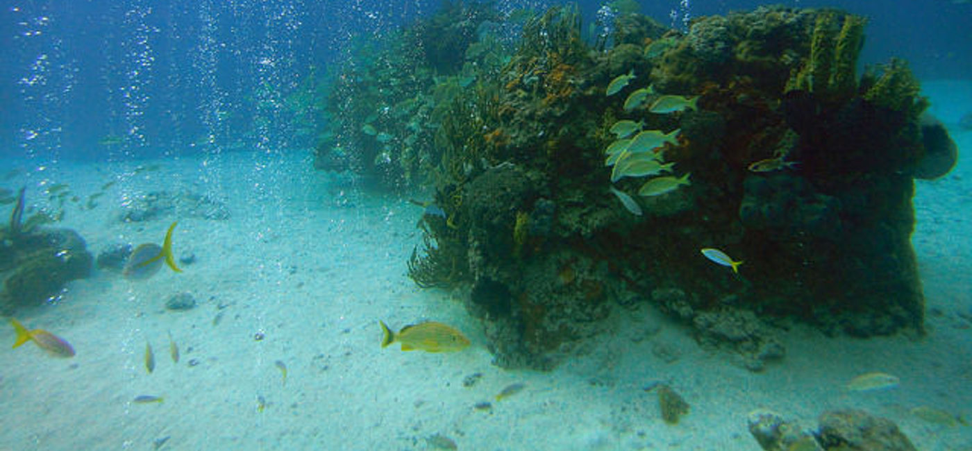 Image: PHOTO: The depths of the Bahamas clear blue waters (Photo via Flickr/Matt Kieffer) 