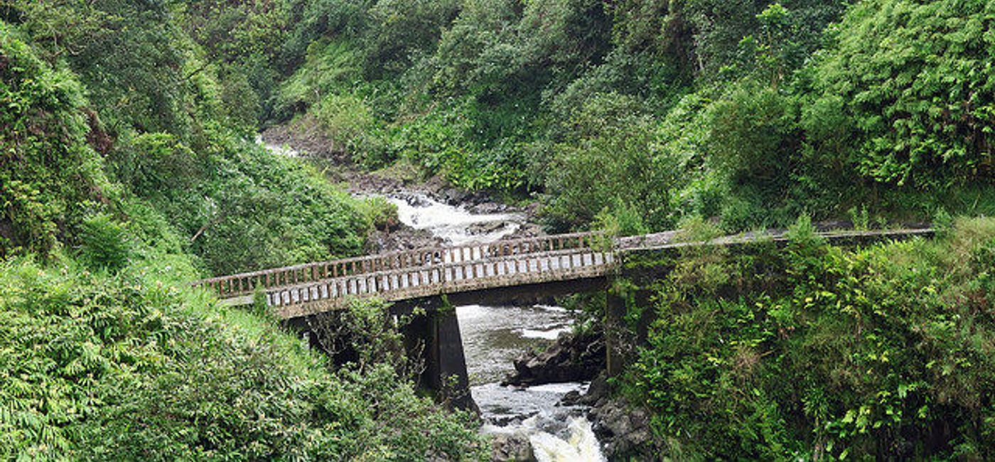 Image: The road to Hana is a marvellous trip along roads that are narrow but very well kept up these days. (Flickr/penjelly)