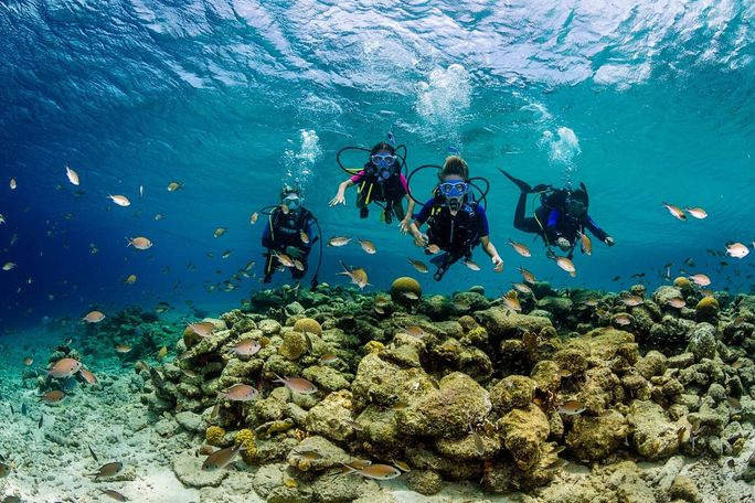 Diving in Bonaire Diving
