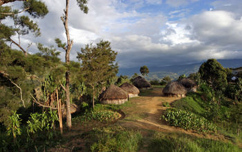 Traditional village in Papua New Guinea