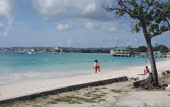 Pebbles Beach in Barbados
