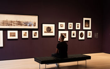 The Museum of Modern Art-photo-Elizabeth Bick