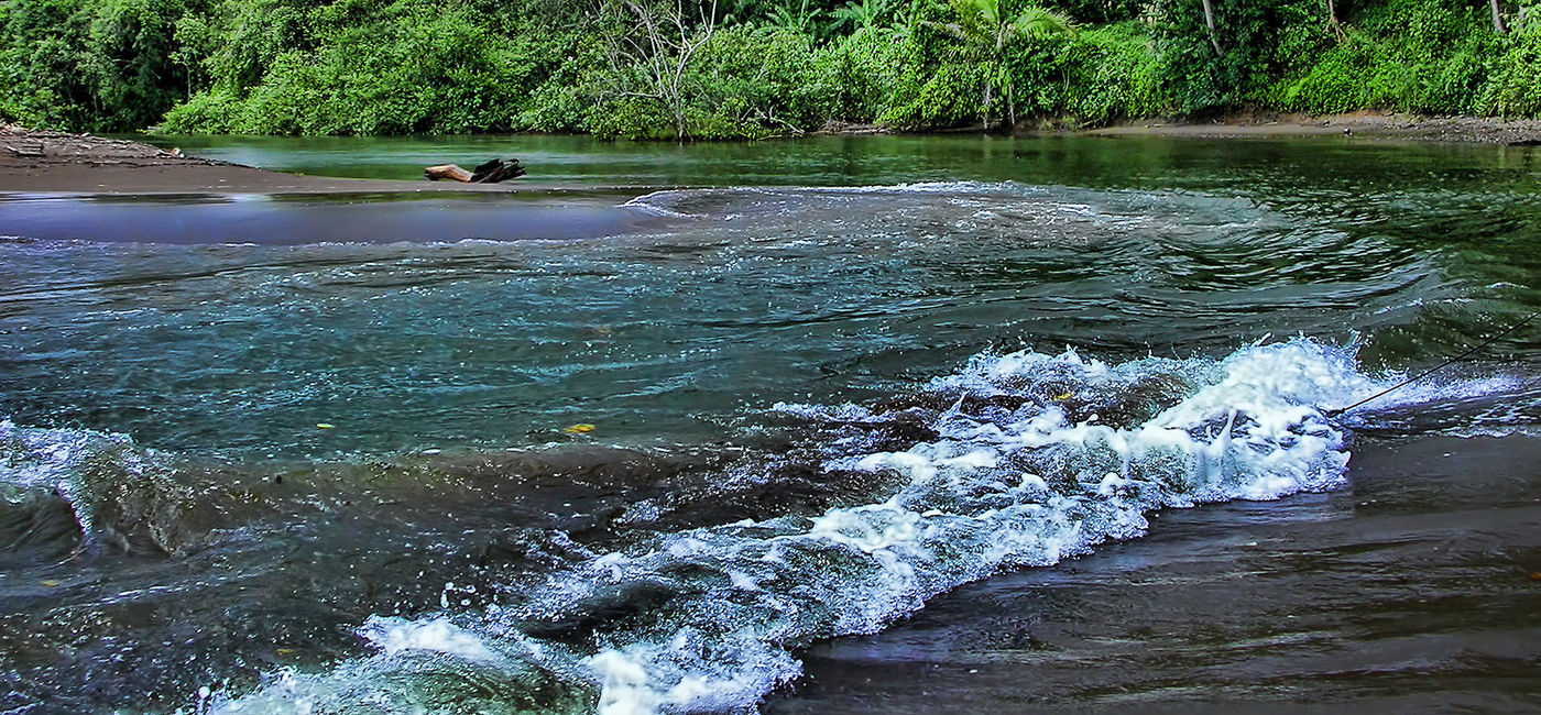 Image: PHOTO: Costa Rica's Drake Bay. (photo via Flickr/Trish Hartmann)