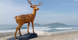 Mazatlan, Mexico 