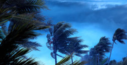 High winds from a hurricane in Caribbean.