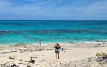 Beach on Salt Cay, Turks and Caicos