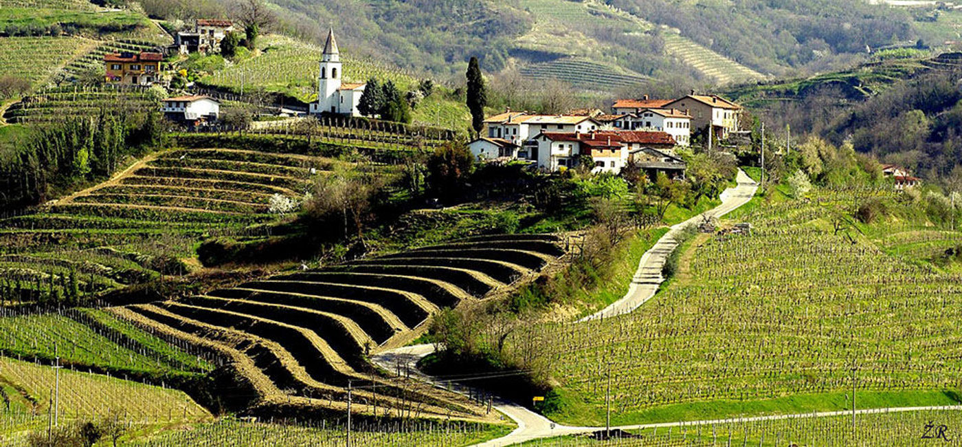 Image: PHOTO: Brda has been called Slovenia's "Tuscany" (Flickr/MihaV)