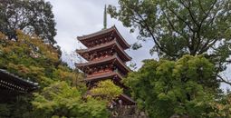 temple, Shikoku, buddhism, japan