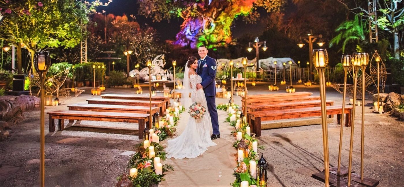 Image: PHOTO: A Disney Fairy Tale Wedding at Animal Kingdom. (photo via Walt Disney World)