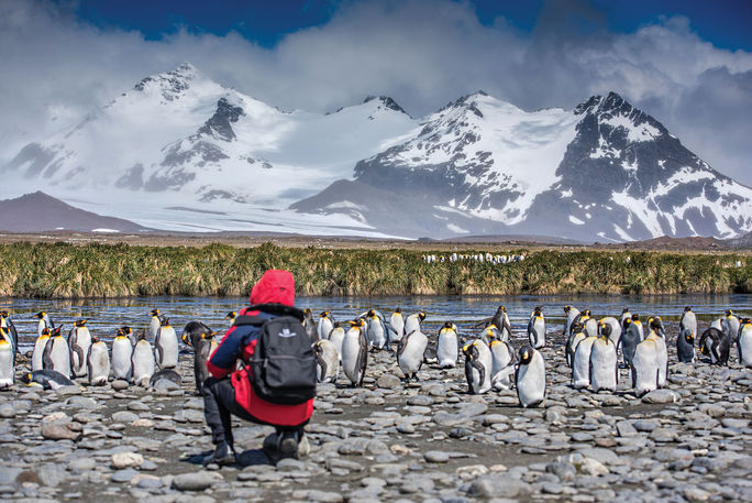 South Georgia, Abercrombie & Kent, Antarctica, Antarctica expedition cruises