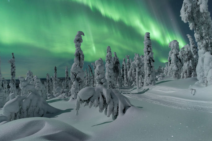 Finland has 41 national parks. Finland has 41 national parks.