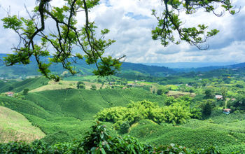 Latin America&#39;s highlands produce world-class coffee. (Photo via DC_Columbia/ iStock / Getty Images Plus).