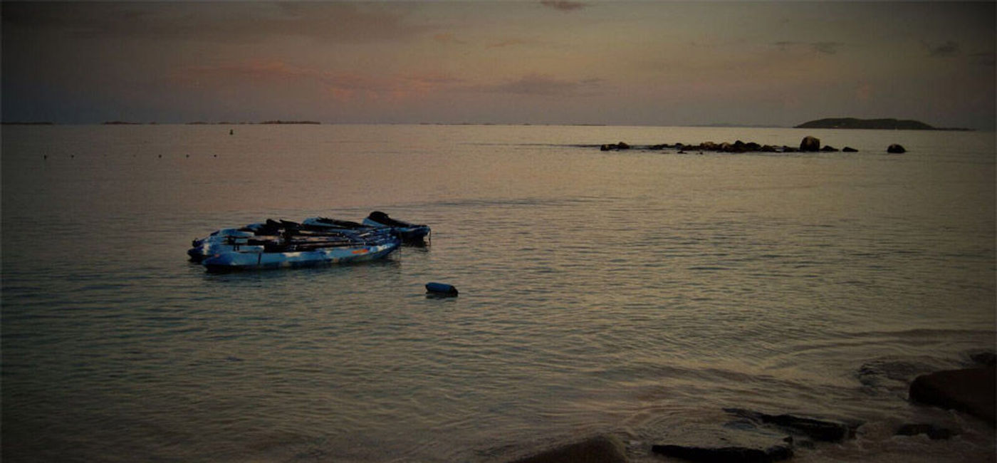 Image: PHOTO: Laguna Grande, Puerto Rico. (photo by Melinda Crow)